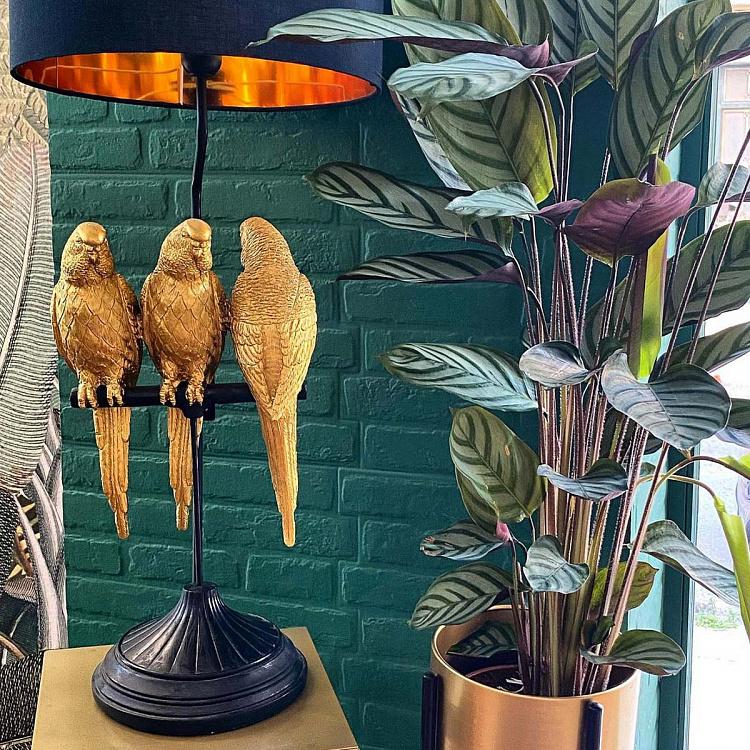 Настольная лампа Попугаи Тимми, Томми и Тэмми Table Lamp Parrots Timmy, Tommy And Tammy