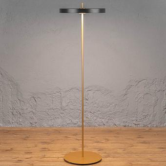 Asteria Floor Lamp