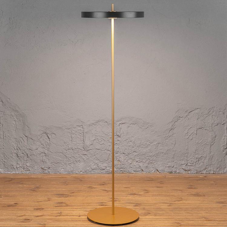 Торшер светодиодный Астерия Asteria Floor Lamp