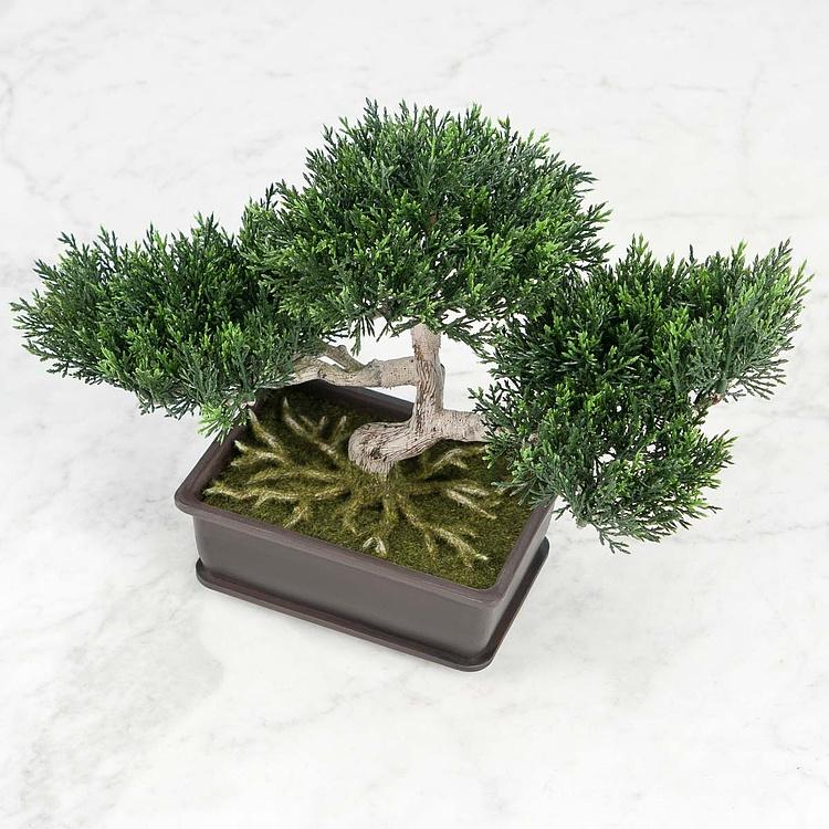 Искусственное растение Pine Mini Bonsai Potted 22 cm - ракурс 3