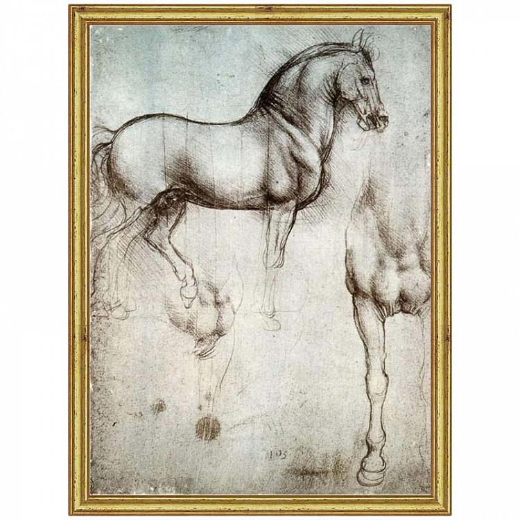 Рисунок-принт в золотой раме Леонардо да Винчи, Лошадь Da Vinci Horse, Gold Frame