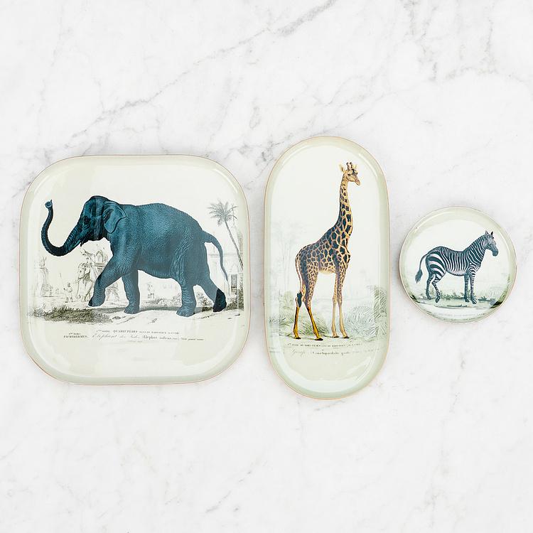 Поднос Safari Giraffe Oval Tray - ракурс 3