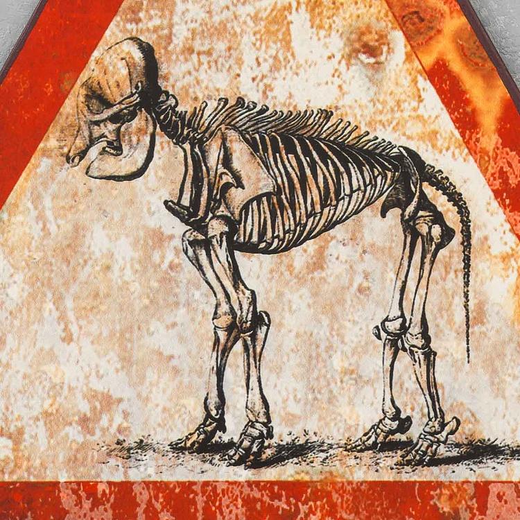 Металлическая табличка Скелет животного Sign Animal Skeleton