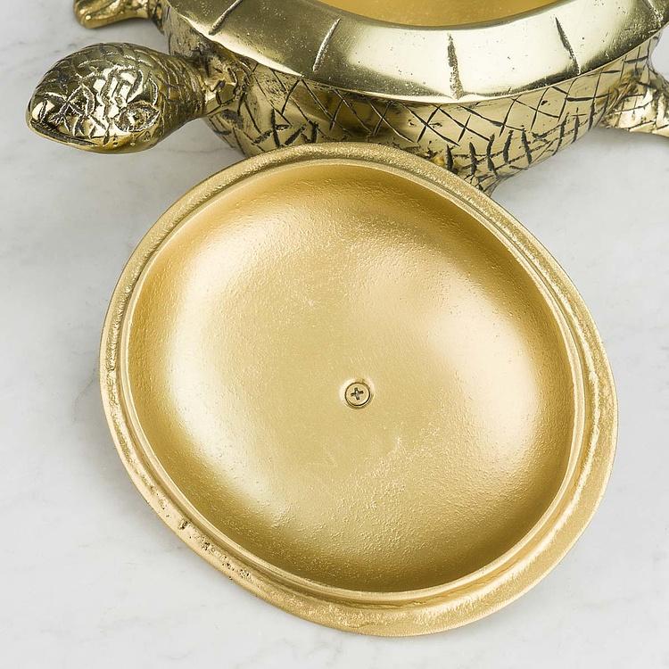 Шкатулка Золотистая мама-черепаха Turtle Box