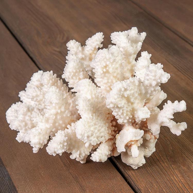 Винтажный натуральный морской коралл 9 Vintage Coral 9