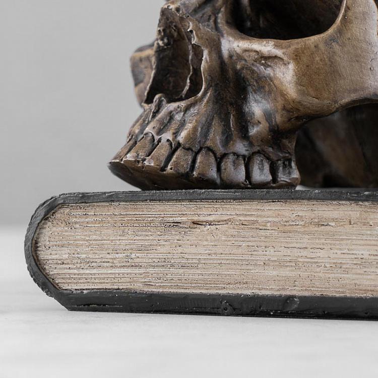 Статуэтка Коронованный череп на книге Skull In Crown On Book