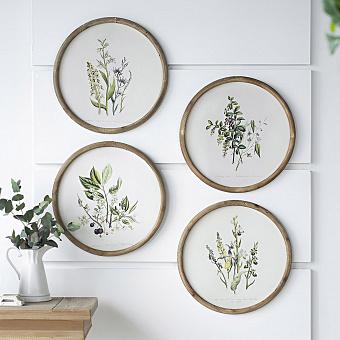 Набор из 4-х картин Set Of 4 Round Frame Prints Flora