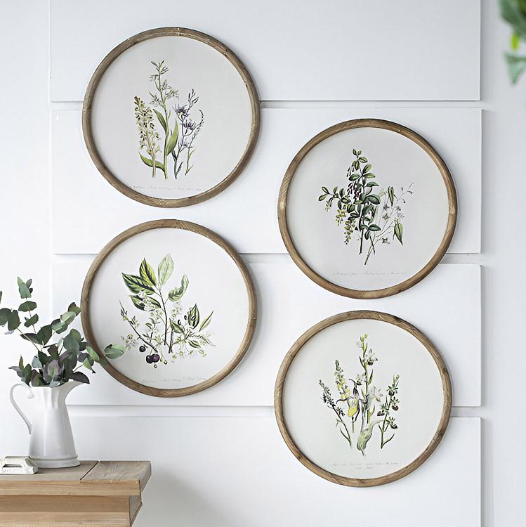 Набор из четырёх картин Флора Set Of 4 Round Frame Prints Flora