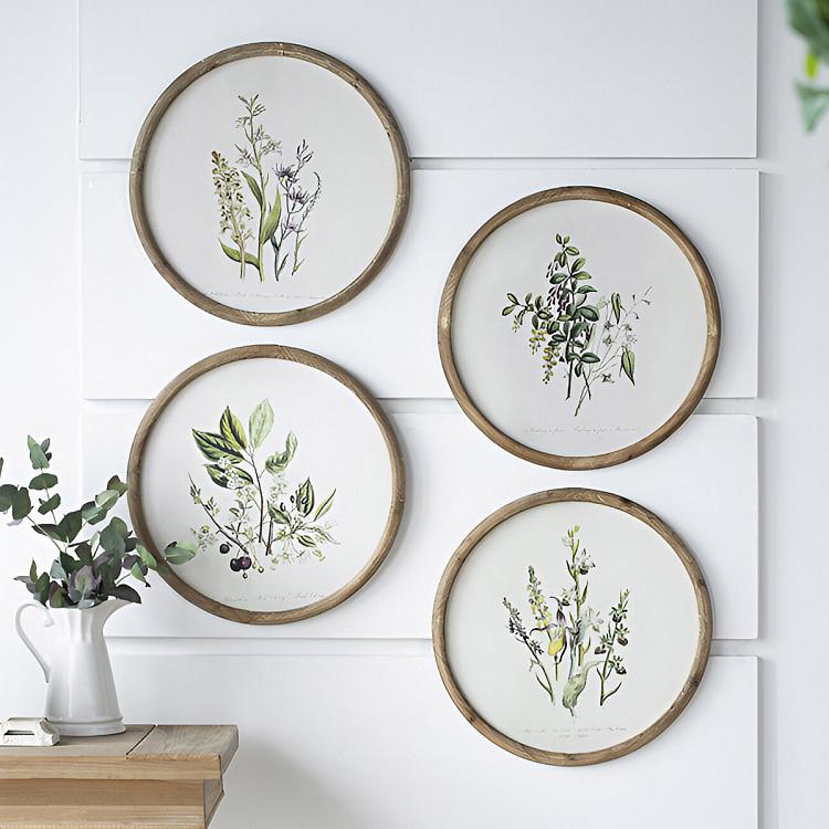 Set Of 4 Round Frame Prints Flora