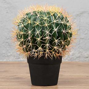 Barrel Cactus Large 35 cm