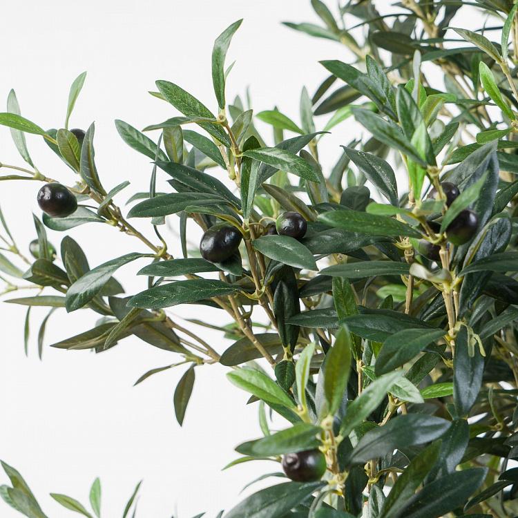 Искусственная олива Твист с плодами, XL Twist Olive With Fruits 170 cm