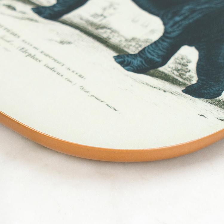 Поднос Safari Elephant Square Tray - ракурс 2