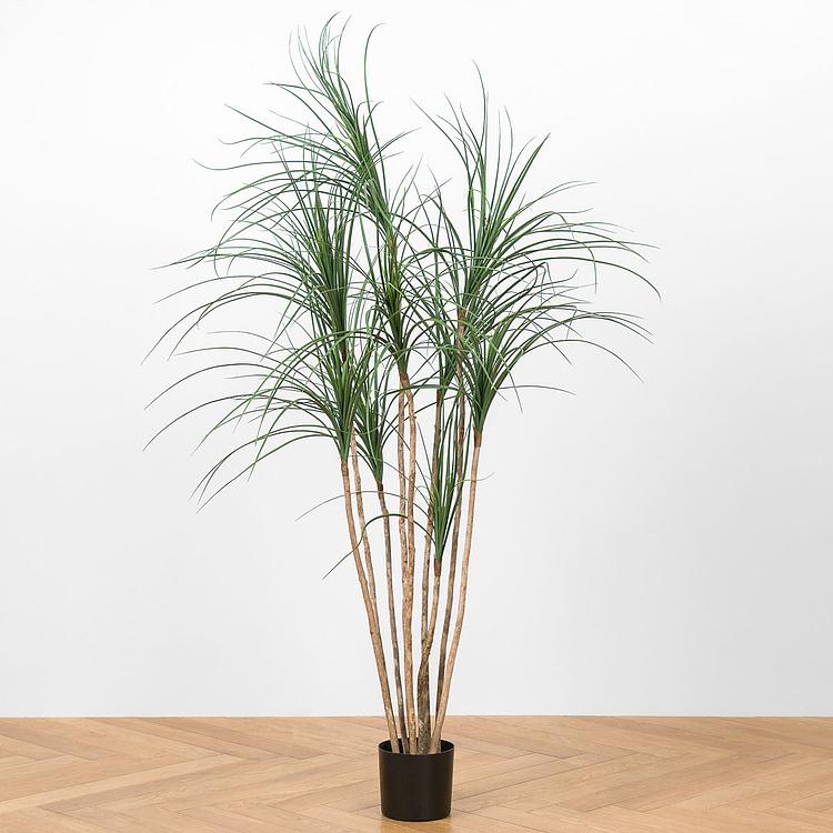 Искусственное дерево Nitida Nolina 150 cm