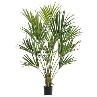 Искусственное дерево De Luxe Kentia Palm 170 cm