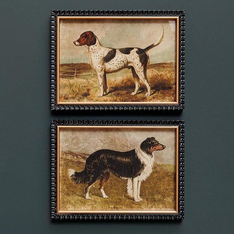 Набор из двух принтов Охотничьи собаки Set Of 2 Frames Hunt Dogs