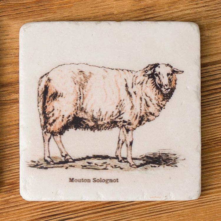Набор из 4-х подставок под стаканы Set Of 4 Stone Coasters Sheep - ракурс 6