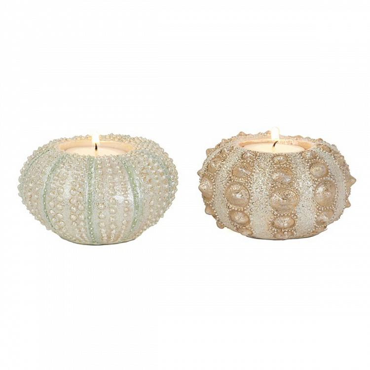 Set Of 2 Sea Urchin Votive Holder White Pink