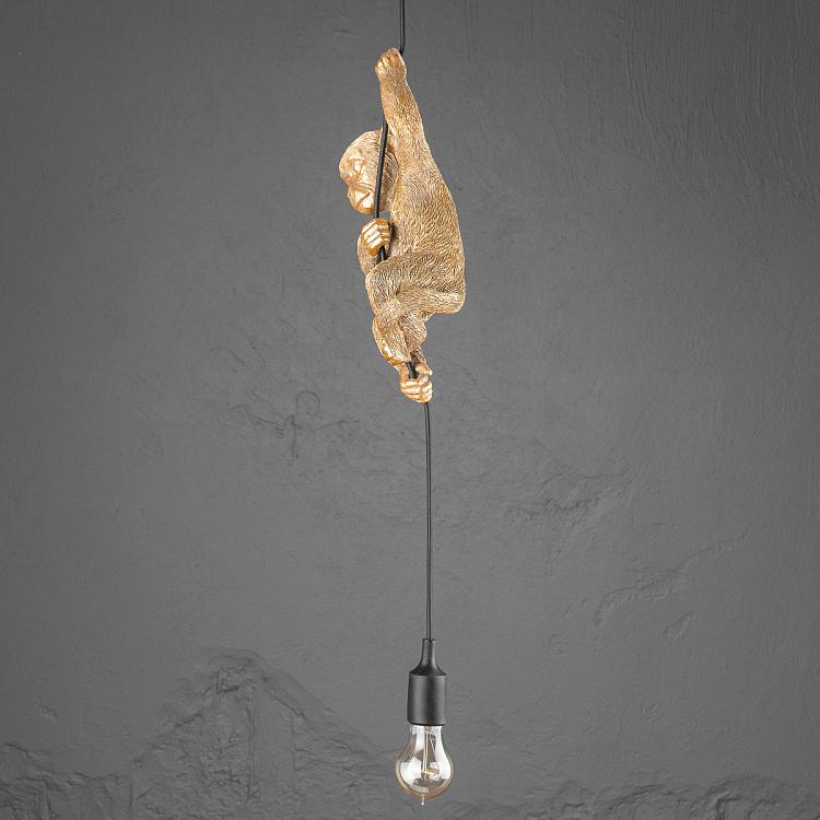 Подвесной светильник Обезьяна Чип Ceiling Lamp Monkey Chip