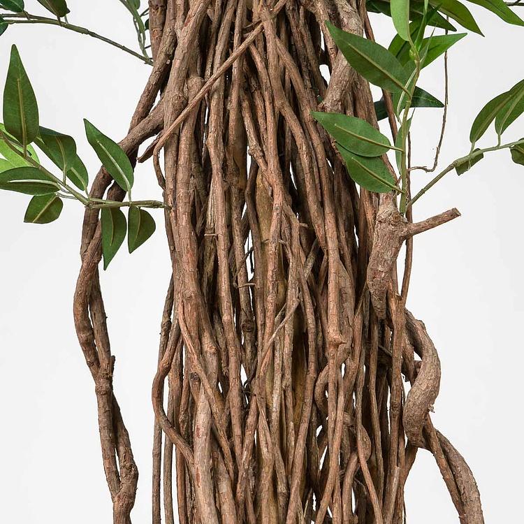 Искусственное дерево De Luxe French Ficus Liana 210 cm - ракурс 5