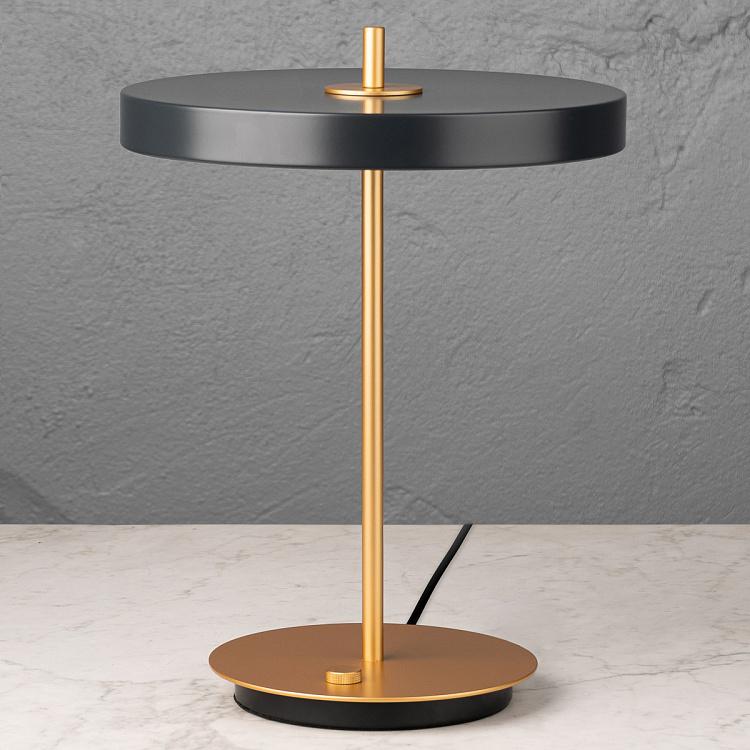 Настольная светодиодная лампа Астерия Asteria Table Lamp