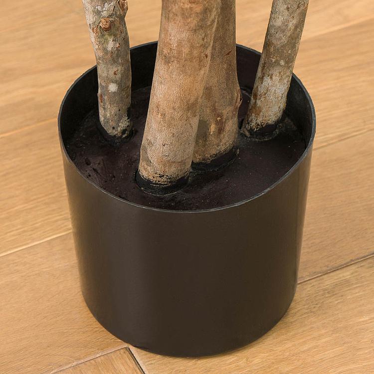 Искусственное дерево Golden Dracaena Reflexa 120 cm - ракурс 5