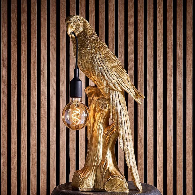 Настольная лампа Попугай Тимми Table Lamp Parrot Timmy