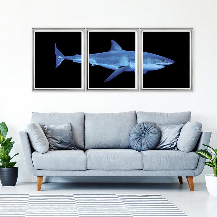 Модульный фото-принт в деревянной раме Большая белая акула Set Of 3 Great White Shark, Pewter Frame