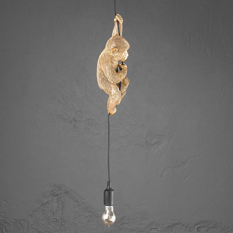 Подвесной светильник Обезьяна Чип Ceiling Lamp Monkey Chip
