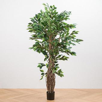 De Luxe Ficus Liana 210 cm