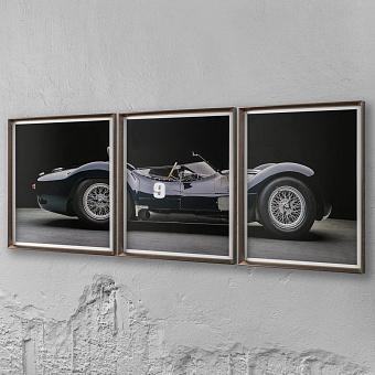 Модульный фото-принт Set Of 3 Maserati Birdcage, Pewter Frame