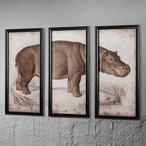 Set Of 3 Nature Hippo