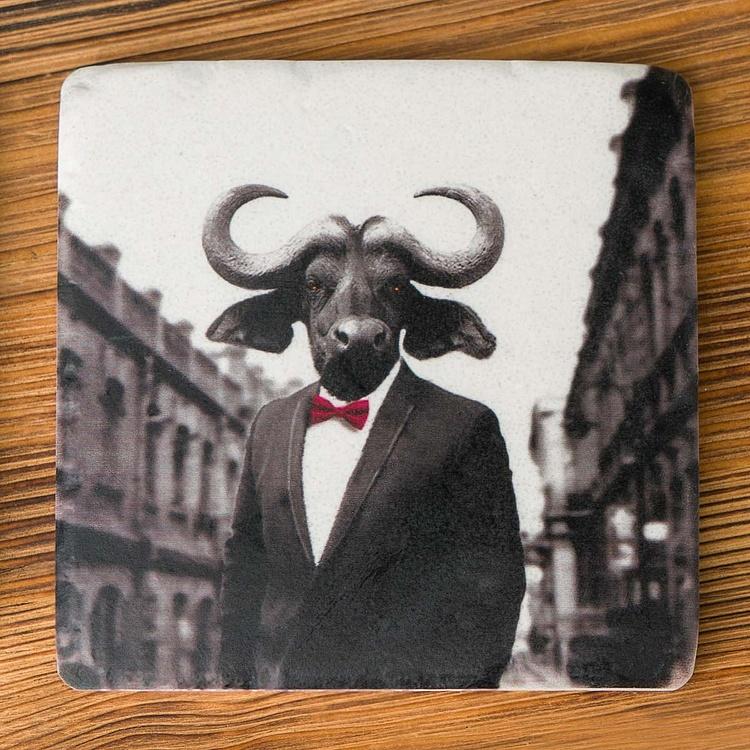 Набор из четырёх подставок под стаканы Киноцефалы Set Of 4 Stone Coasters Cynocephalus