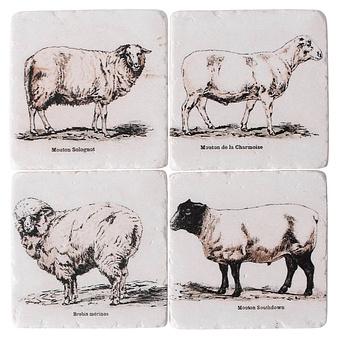Set Of 4 Stone Coasters Sheep