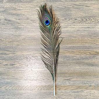 Винтажное перо павлина Vintage Peacock Feather Small