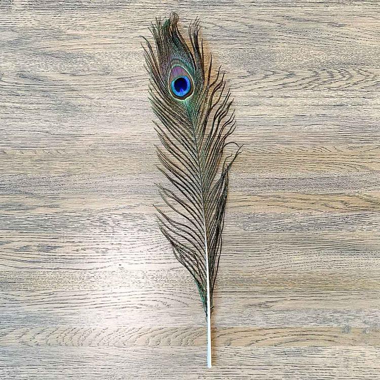 Винтажное перо павлина, S Vintage Peacock Feather Small