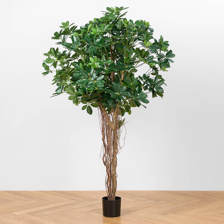 Искусственное дерево Umbrella Schefflera Green 170 cm