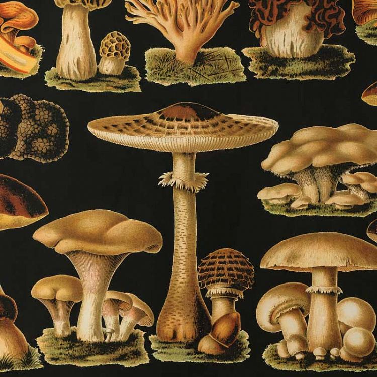Картина-принт Грибы Mushrooms