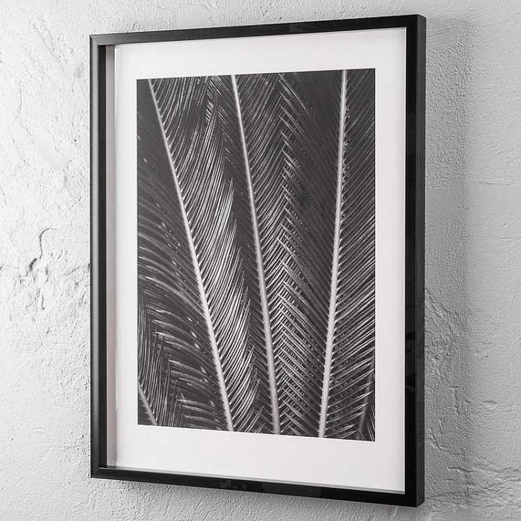 Фото-принт в чёрной раме Листья саговой пальмы Sego Fan, Black Box Frame