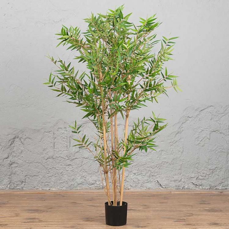 Japanese Oriental Bamboo 120 cm