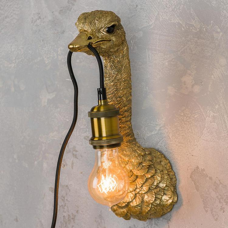 Бра Страусёнок Франц Иосиф Wall Lamp Baby Ostrich Franz Josef