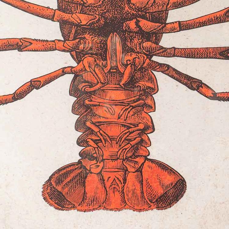 Картина-принт Лобстер Lobster