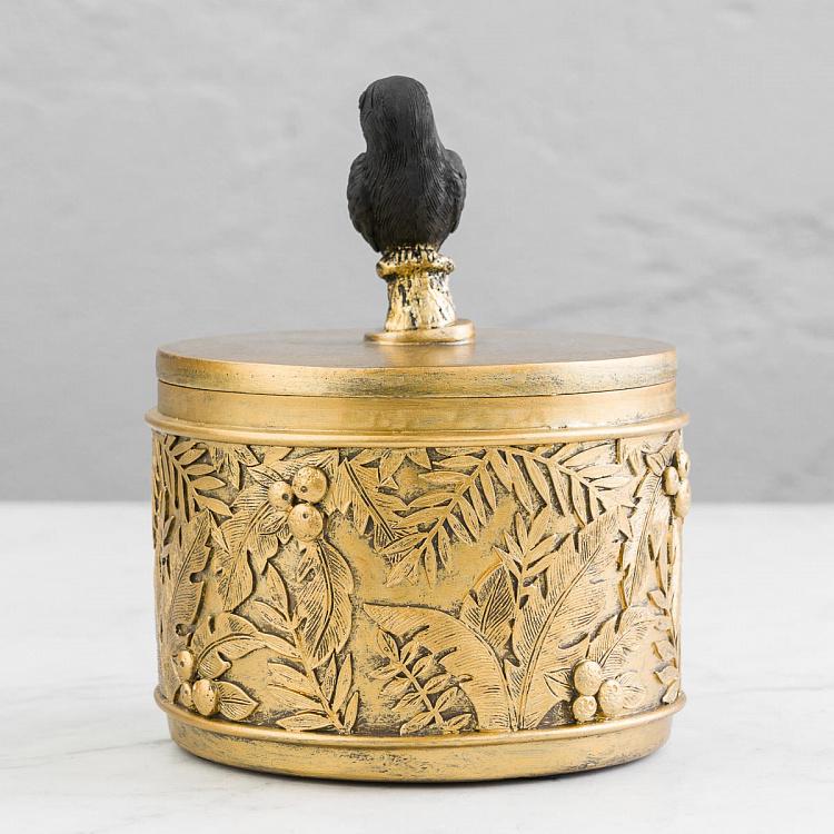 Шкатулка золотистая с туканом на крышке Golden Box With Toucan Lid