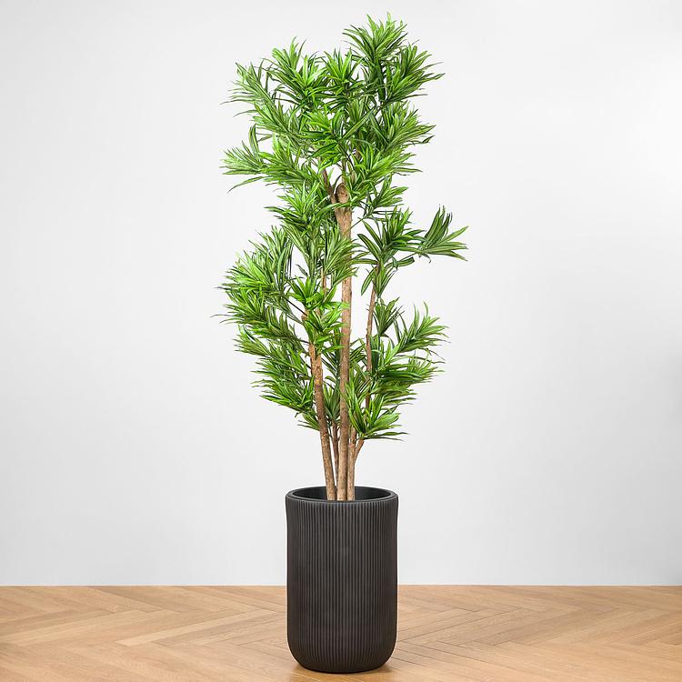 Кашпо Ergo Jet Tall Cylinder Pot Anthracite Large - ракурс 7