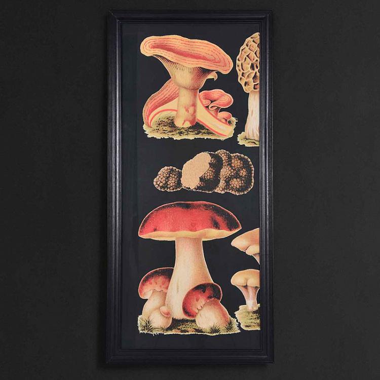 Модульная картина-принт Грибы из трёх частей Set Of 3 Mushrooms