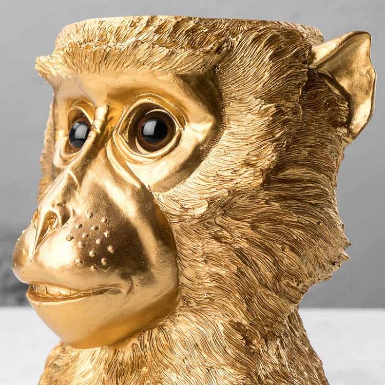Кашпо Золотая обезьяна Flower Pot Golden Ape