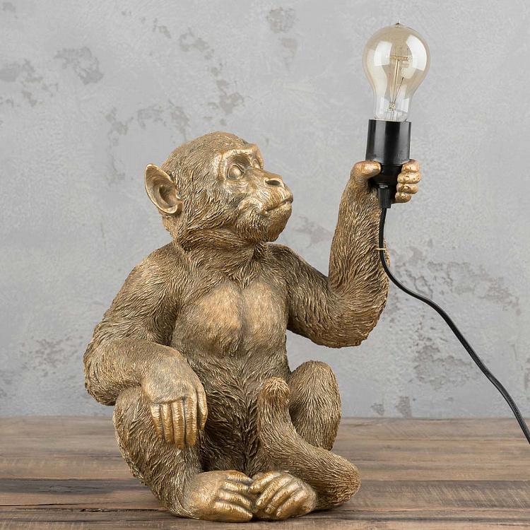 Настольная лампа Золотая обезьяна Table Lamp Golden Monkey