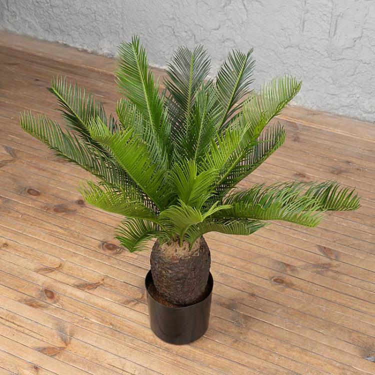 Искусственная пальма Цикас Cicas Palm 65 cm