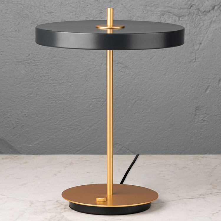 Настольная светодиодная лампа Астерия Asteria Table Lamp