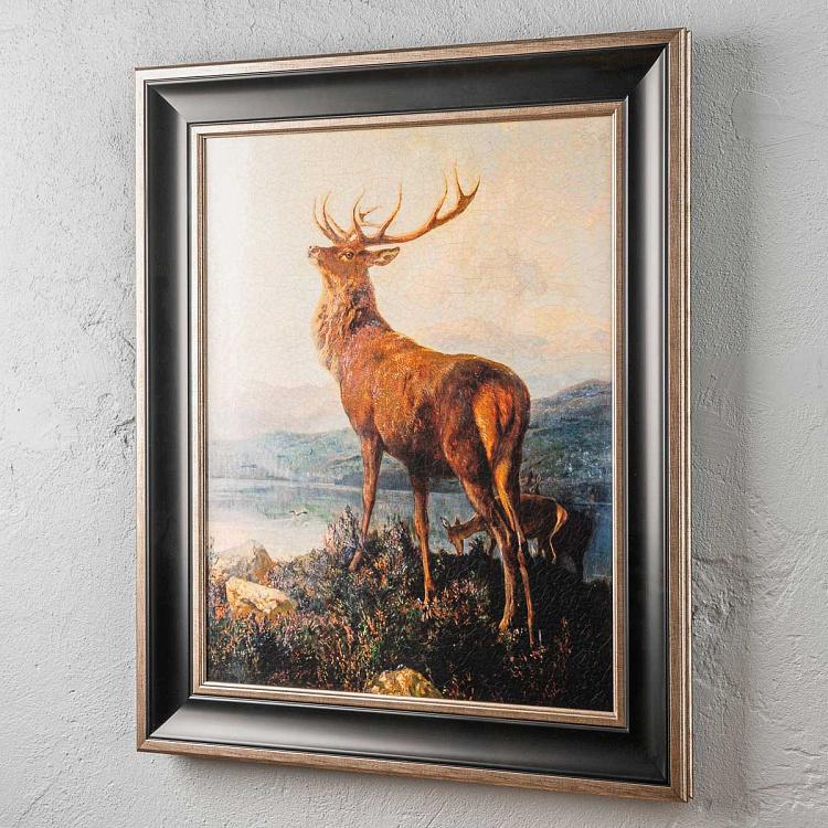 Monarch Of The Glen, EM10 Frame