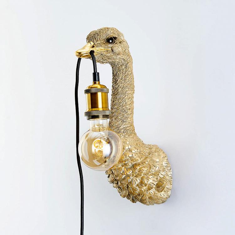 Бра Страусёнок Франц Иосиф Wall Lamp Baby Ostrich Franz Josef